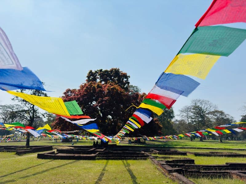 Vibrant prayer flags hanging outdoors in Butwal, Nepal, under a sunny sky.