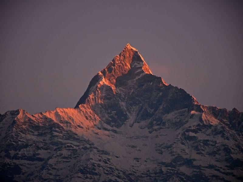 A stunning sunset captures the snow-covered Machapuchare Peak in the Annapurna range, Nepal.